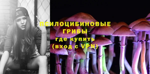 дживик Беломорск