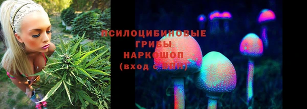 шишки Белоозёрский