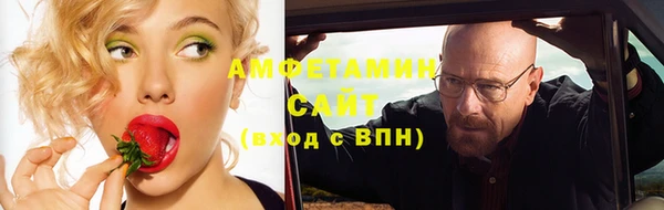 стаф Аркадак