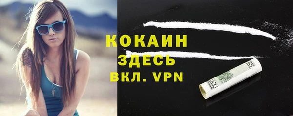 кокс Белокуриха