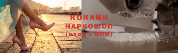 шишки Белоозёрский