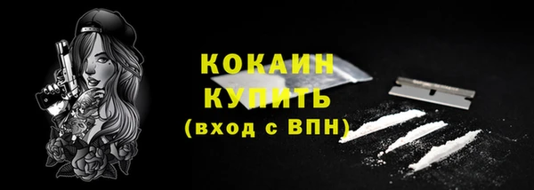 кокс Белокуриха