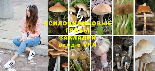 дживик Беломорск