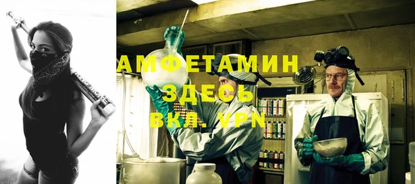 шишки Белоозёрский